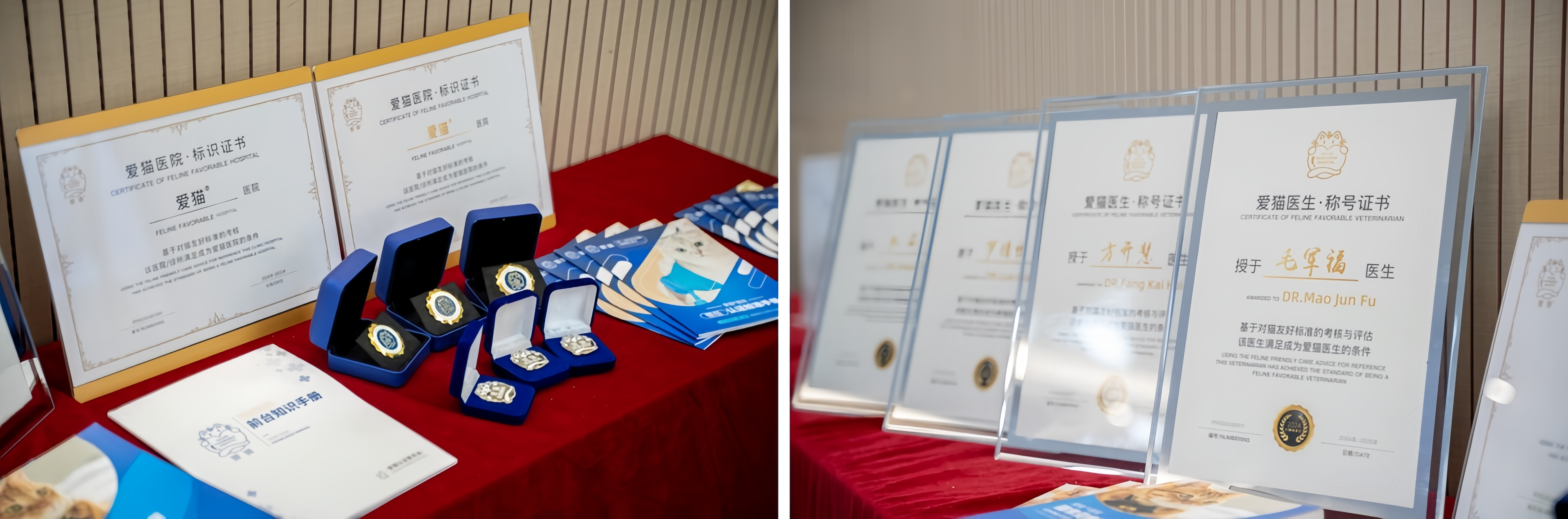 九游体育：致敬国际猫咪日：新瑞鹏集团以懂猫、爱猫之心守护每只猫的健康(图2)