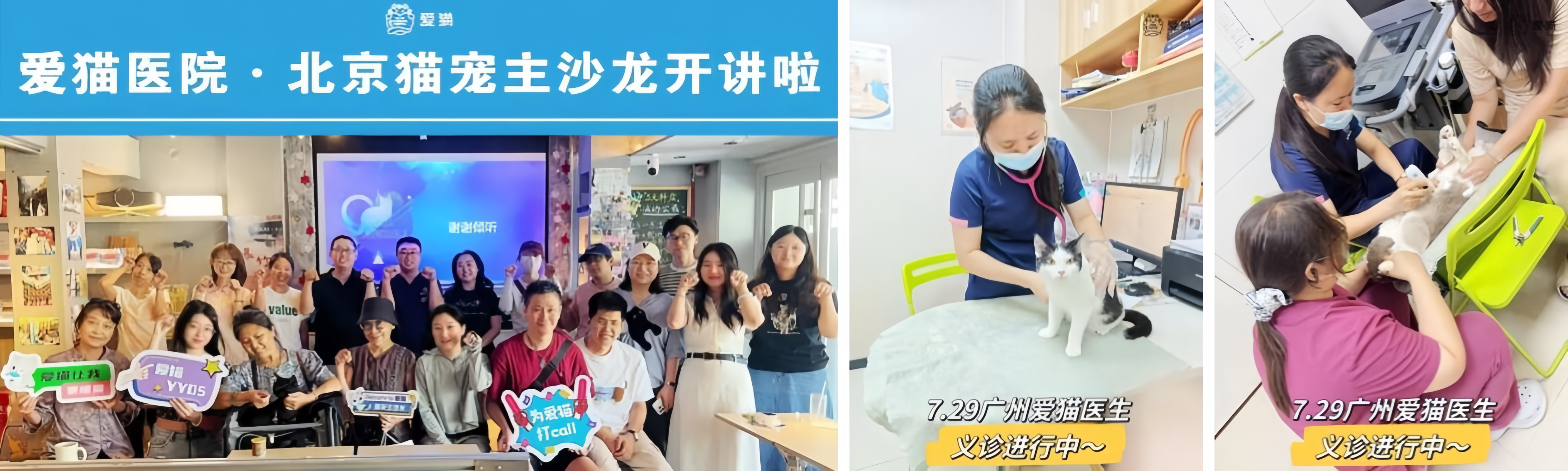 九游体育：致敬国际猫咪日：新瑞鹏集团以懂猫、爱猫之心守护每只猫的健康(图3)