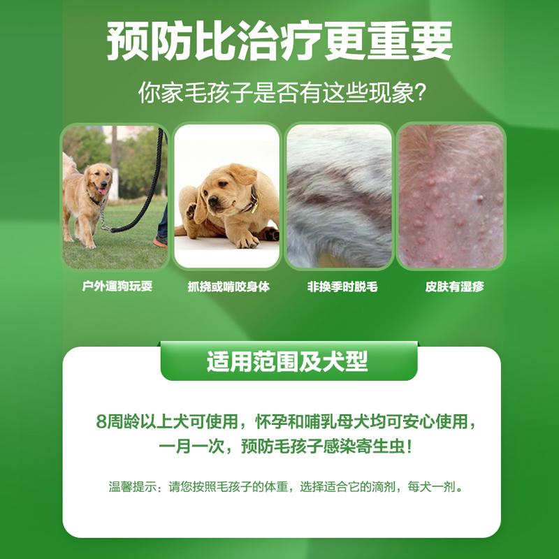 导购智能机器人_家电频道_天极网(图1)