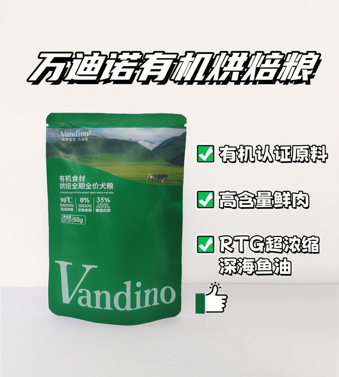 让比熊的每一天都被温柔滋养着(图2)