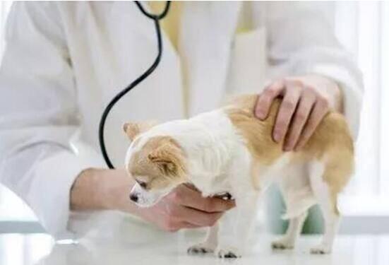 九游官网入口：全站实时更新评论(图1)