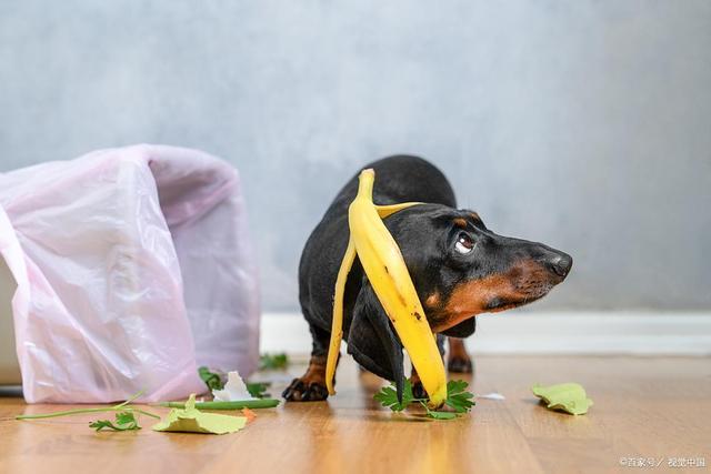 v喂前必看！好处、禁忌、安全量一次说清(图2)