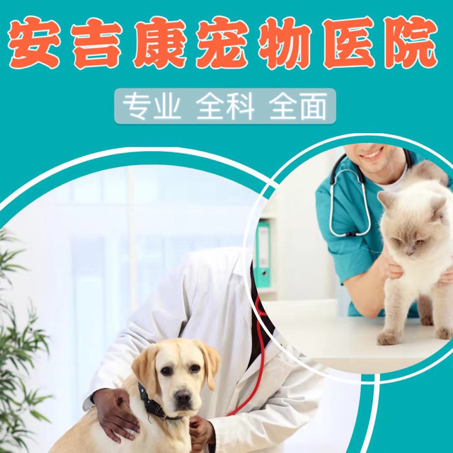 口袋妖怪女神贝塔(图1)