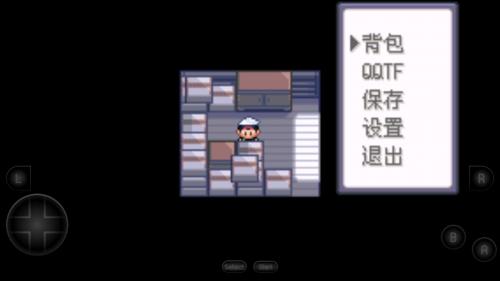 口袋妖怪漆黑的魅影45(图1)