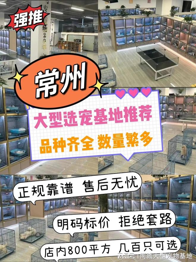 常州哪里买宠物靠谱安全？这儿有实体店可选放心大胆挑吧(图1)