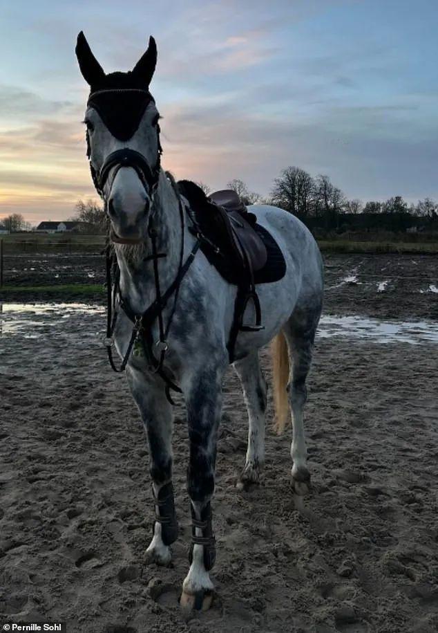 丹麦动物园“征集民众的宠物喂猛兽”后续：已收到大量兔子鸡豚鼠马匹等捐赠！(图9)