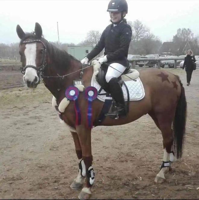 丹麦动物园“征集民众的宠物喂猛兽”后续：已收到大量兔子鸡豚鼠马匹等捐赠！(图8)