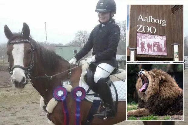 丹麦动物园“征集民众的宠物喂猛兽”后续：已收到大量兔子鸡豚鼠马匹等捐赠！(图6)