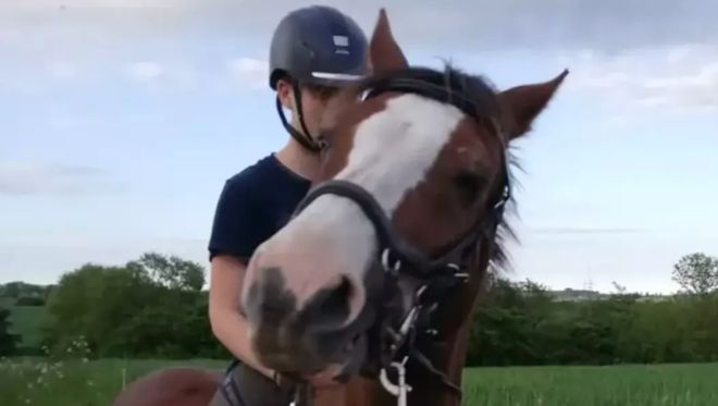 丹麦动物园“征集民众的宠物喂猛兽”后续：已收到大量兔子鸡豚鼠马匹等捐赠！(图7)