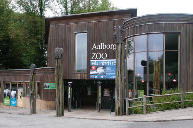 丹麦动物园“征集民众的宠物喂猛兽”后续：已收到大量兔子鸡豚鼠马匹等捐赠！(图12)