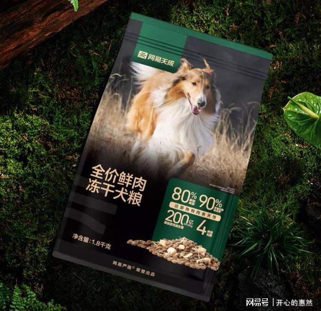 泰迪吃什么牌子狗粮最好？2025十大口碑品牌实测！(图4)