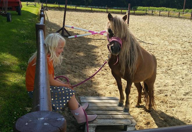 九游官网入口：将女儿小马捐了喂狮子！丹麦妈妈捐宠物给动物园声称一点不后悔(图3)