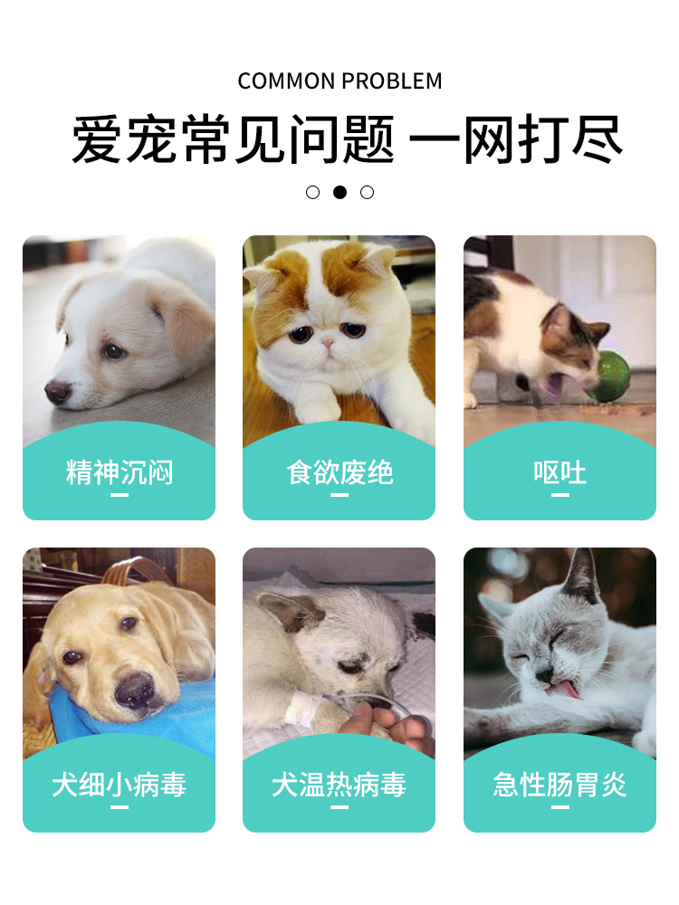 九游官网入口：中金：宠物医疗有望开启宠物经济第二浪(图1)