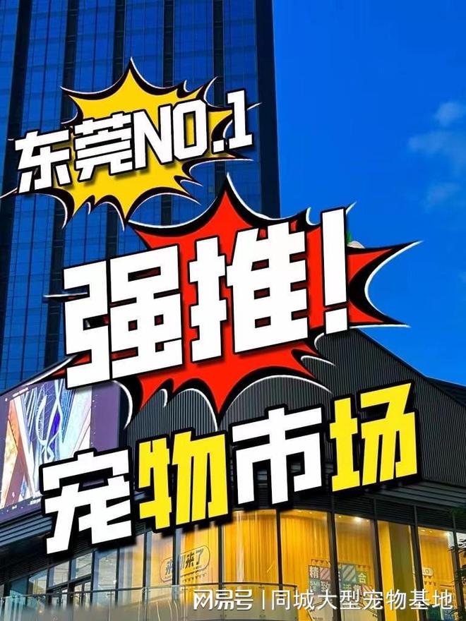 东莞买宠物猫狗哪里便宜？这里安全可靠还能实地选宠物不虚此行(图1)