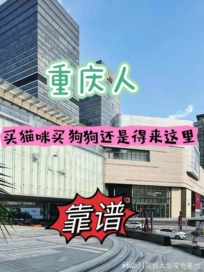 重庆哪里买宠物靠谱安全？这儿有实体店可选放心大胆挑吧(图1)