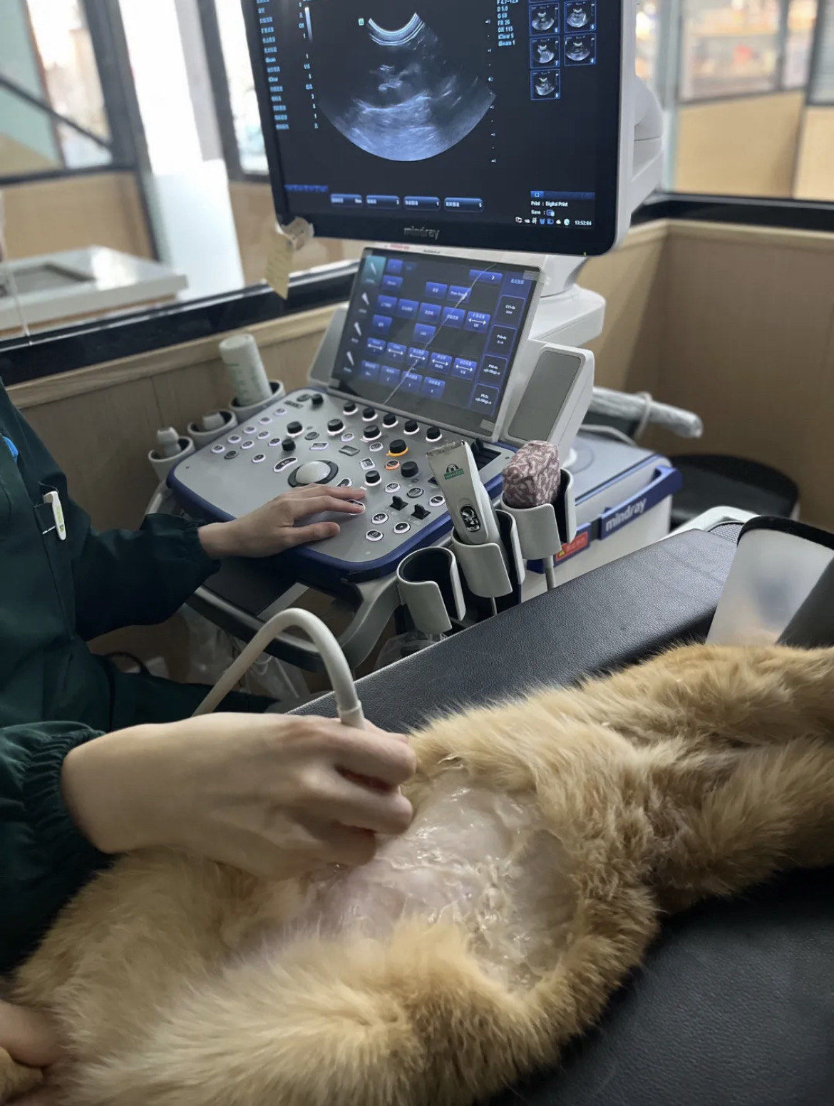 投资界快讯_投资界专业及时快讯_(图1)