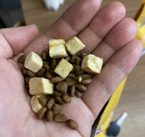 麦都狗粮大测评这款呵护肠道改善口臭、软便的狗粮到底怎么样？(图6)