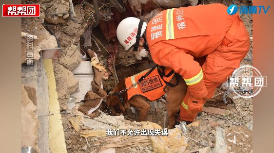 凌晨5点半起床的“汪汪教练”如何练就生命守护者？(图4)