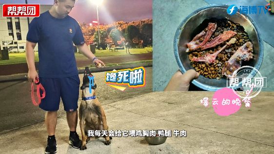 凌晨5点半起床的“汪汪教练”如何练就生命守护者？(图3)