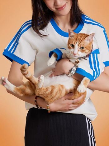 “宠物亲子装”成新时尚耐克阿迪争夺“千亿金矿”(图2)