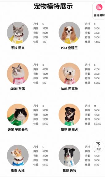 “宠物亲子装”成新时尚耐克阿迪争夺“千亿金矿”(图5)