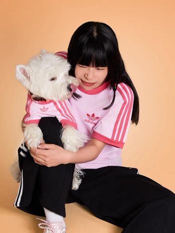 “宠物亲子装”成新时尚耐克阿迪争夺“千亿金矿”(图3)