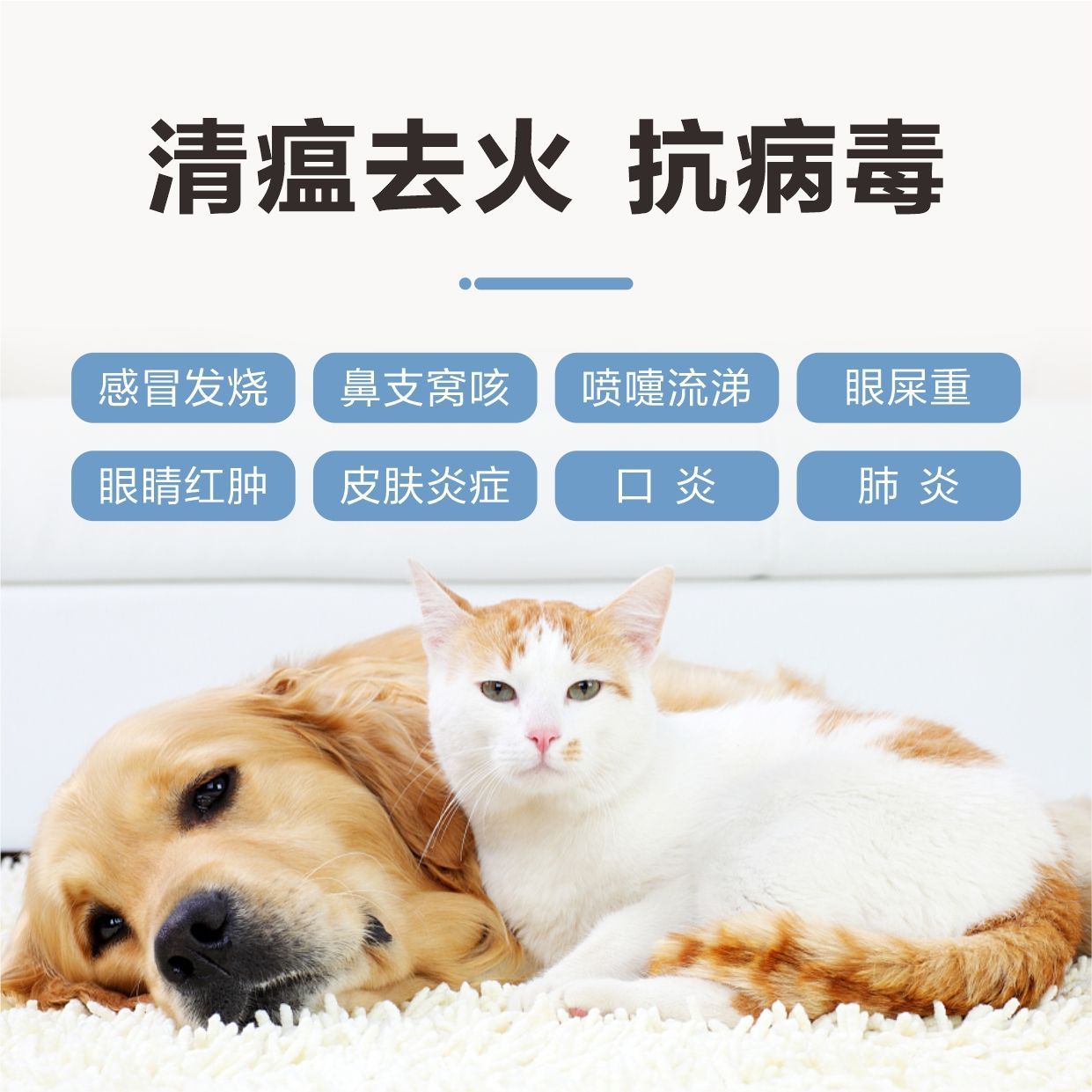 2025年中国宠物保险行业发展现状分析及未来趋势预测(图1)