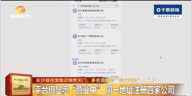 九游app：长沙益佳宠物店突然关门多名消费者 “钱犬两空”！背后套路深(图7)