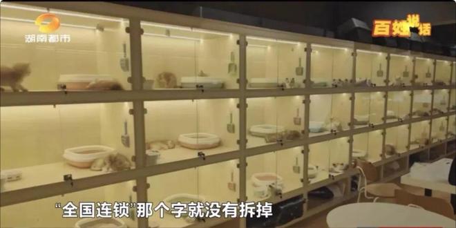 九游app：长沙益佳宠物店突然关门多名消费者 “钱犬两空”！背后套路深(图5)