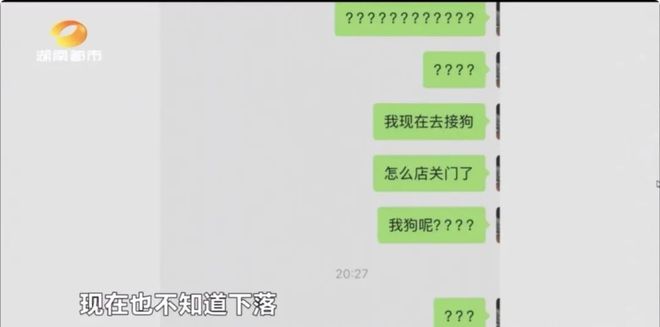 九游app：长沙益佳宠物店突然关门多名消费者 “钱犬两空”！背后套路深(图4)