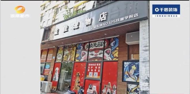 九游app：长沙益佳宠物店突然关门多名消费者 “钱犬两空”！背后套路深(图2)