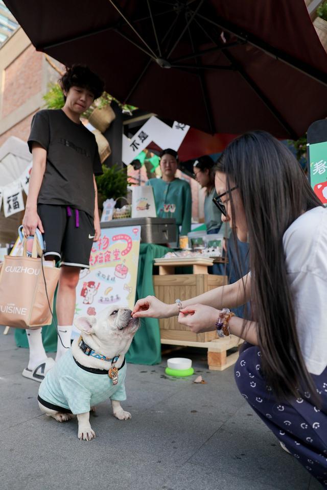 九游app：“毛孩子”的购物车里藏着什么秘密？亚宠展开幕在即行业揭示三大消费新风向(图3)