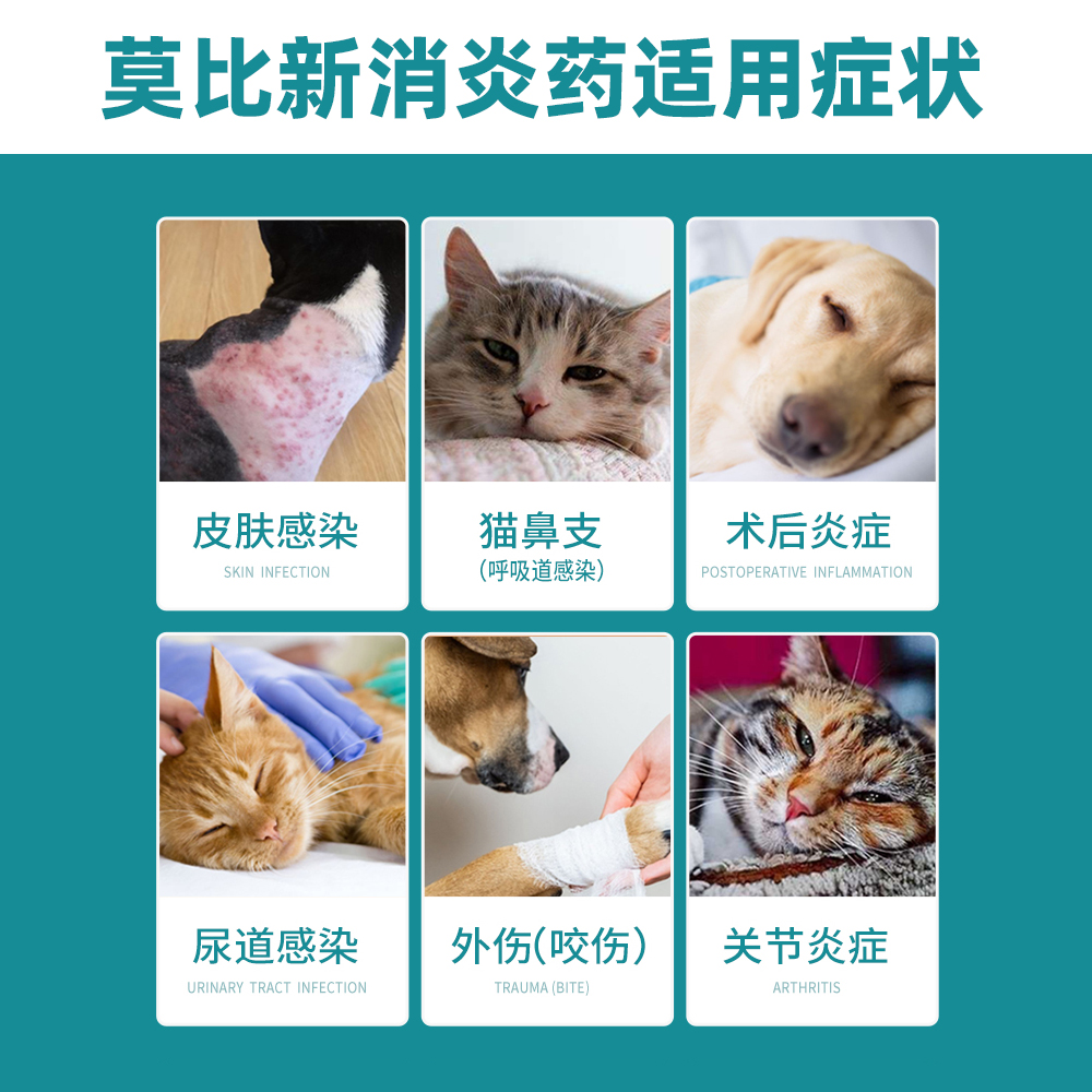 发力“它经济” 梁溪布局宠物大健康产业链(图1)