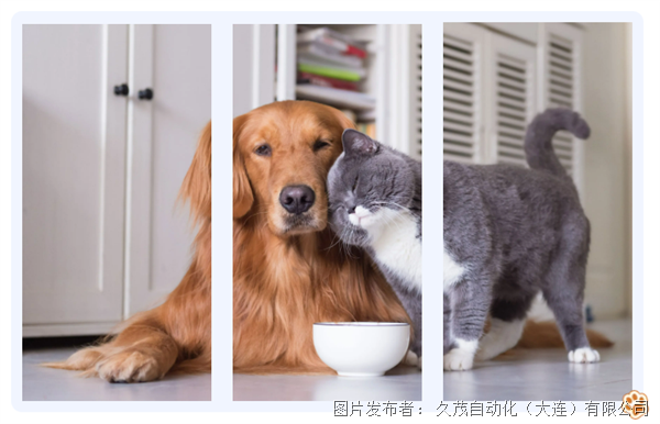 客户故事 击爪为盟！酥脆狗粮 汪汪认证的快乐(图4)