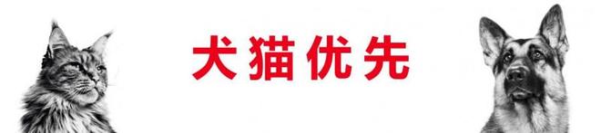 皇家宠物食品中国三十周年：营养守护犬猫健康 构建宠物生态新未来(图3)