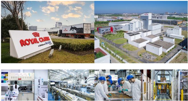 皇家宠物食品中国三十周年：营养守护犬猫健康 构建宠物生态新未来(图7)