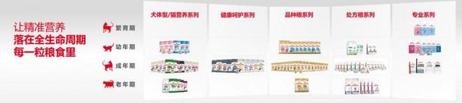 皇家宠物食品中国三十周年：营养守护犬猫健康 构建宠物生态新未来(图14)