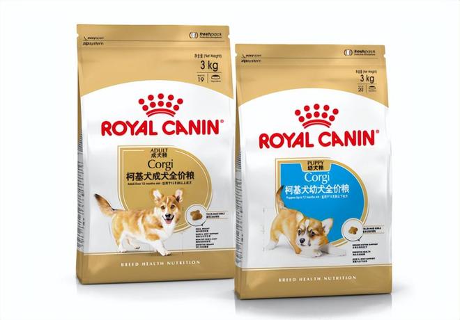 皇家宠物食品中国三十周年：营养守护犬猫健康 构建宠物生态新未来(图11)