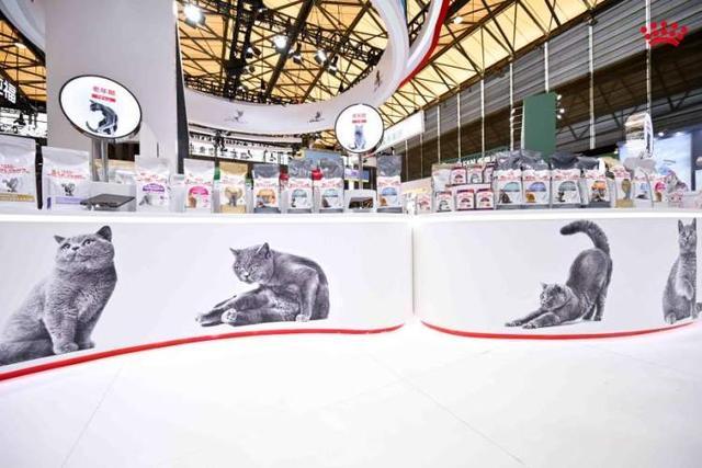 狗狗口粮里有叶酸和“轻盈”配方中国家庭对“毛孩子”的喂养开始走“精细化”(图2)