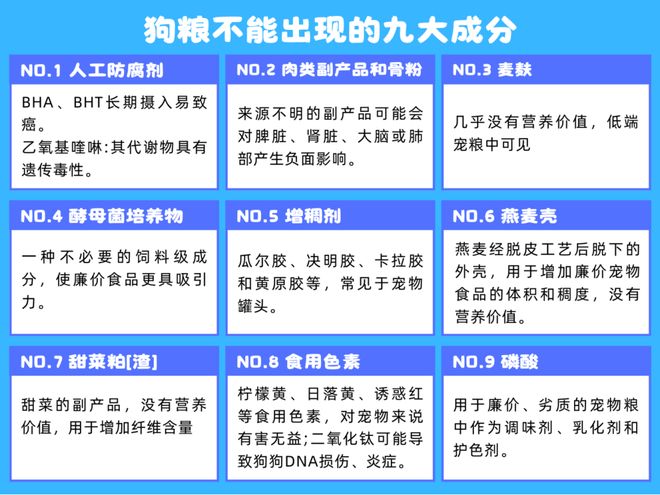 柯基犬吃什么狗粮最好？铲屎官亲测推荐三款狗狗爱吃不踩雷！(图2)