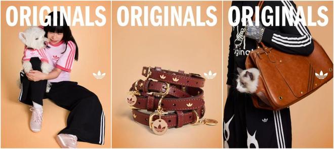 九游官网入口：500亿之上持续增长：淘天与中国宠物经济不断探索新边界(图5)