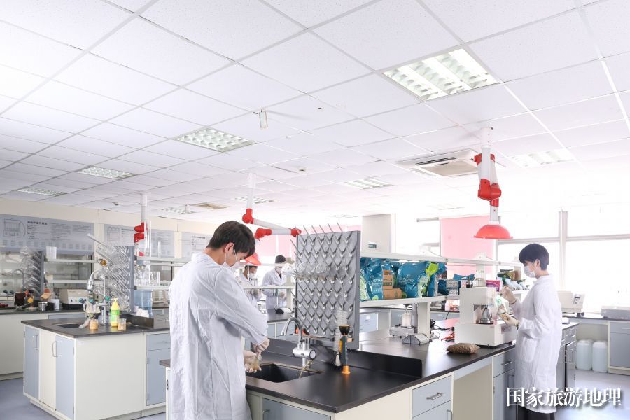 耐威克：“夹心粮首创者”与“老年犬粮第一品牌”的创新之路(图5)