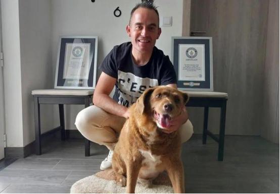 九游app：“世界上最老的狗”波比去世4个月后被吉尼斯官方剥夺了此头衔(图5)