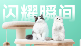 九游app：凯锐思荣获“王牌品牌”：解码自然闪耀背后的精准营养方法论(图5)