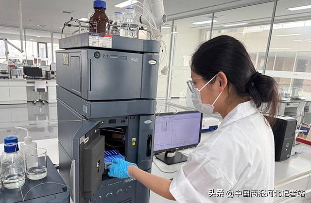 邢台市南和区：“电商+”发力带火“宠物食堂”(图2)