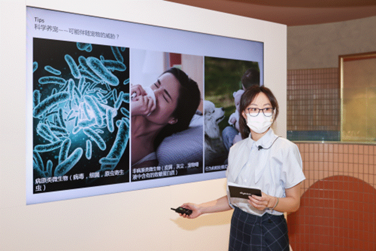 九游官网入口：让科技融入爱宠日常 戴森全面解决方案打造宠物科学“家”(图2)