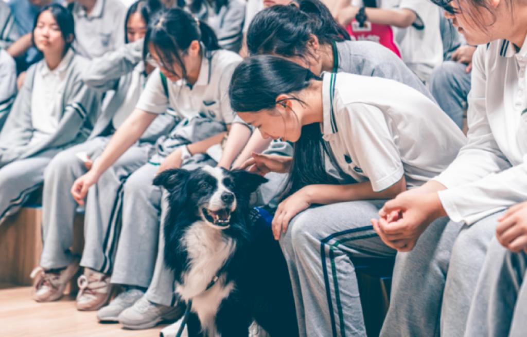 “用生命影响生命”吴起和他的动物疗愈之旅(图5)