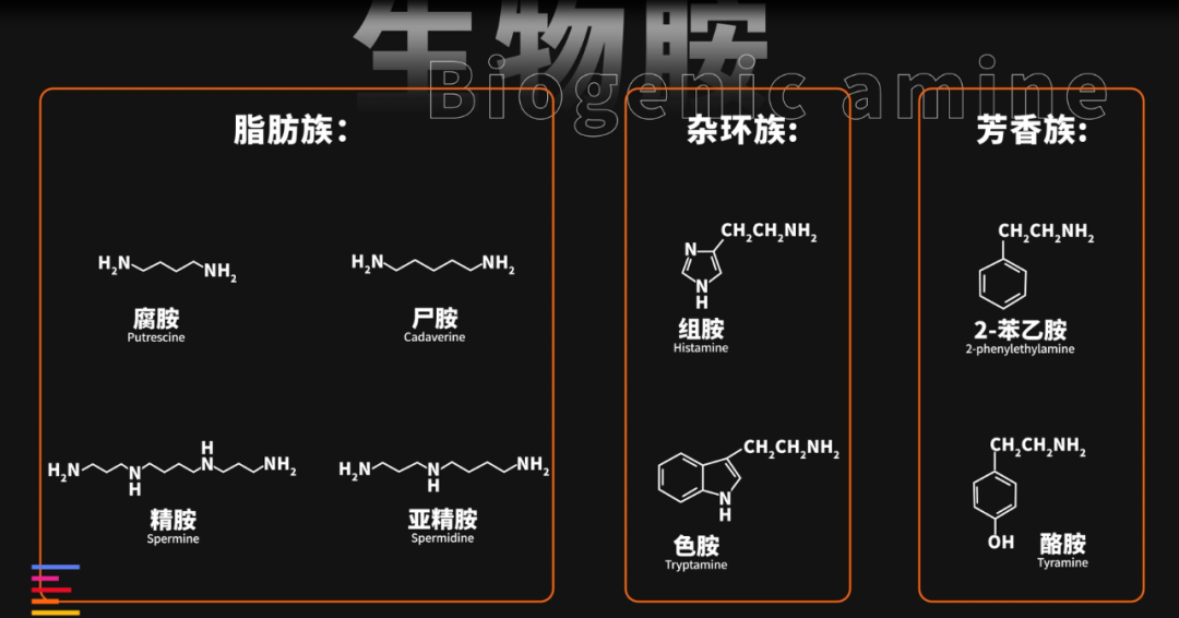 九游体育：从一斤2块到一斤700 12款狗粮大横评 凰家实验室(图5)