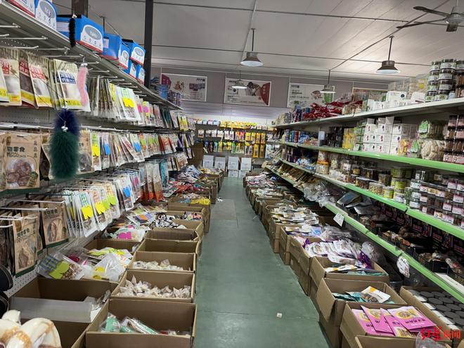 “东北星期宠”传言调查：繁育着最多的猫狗“也背负了最多的差评”｜红星调查(图2)