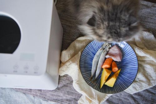 宠物健康饮食新选择CEWEY F10宠物料理机引领鲜食风潮(图4)